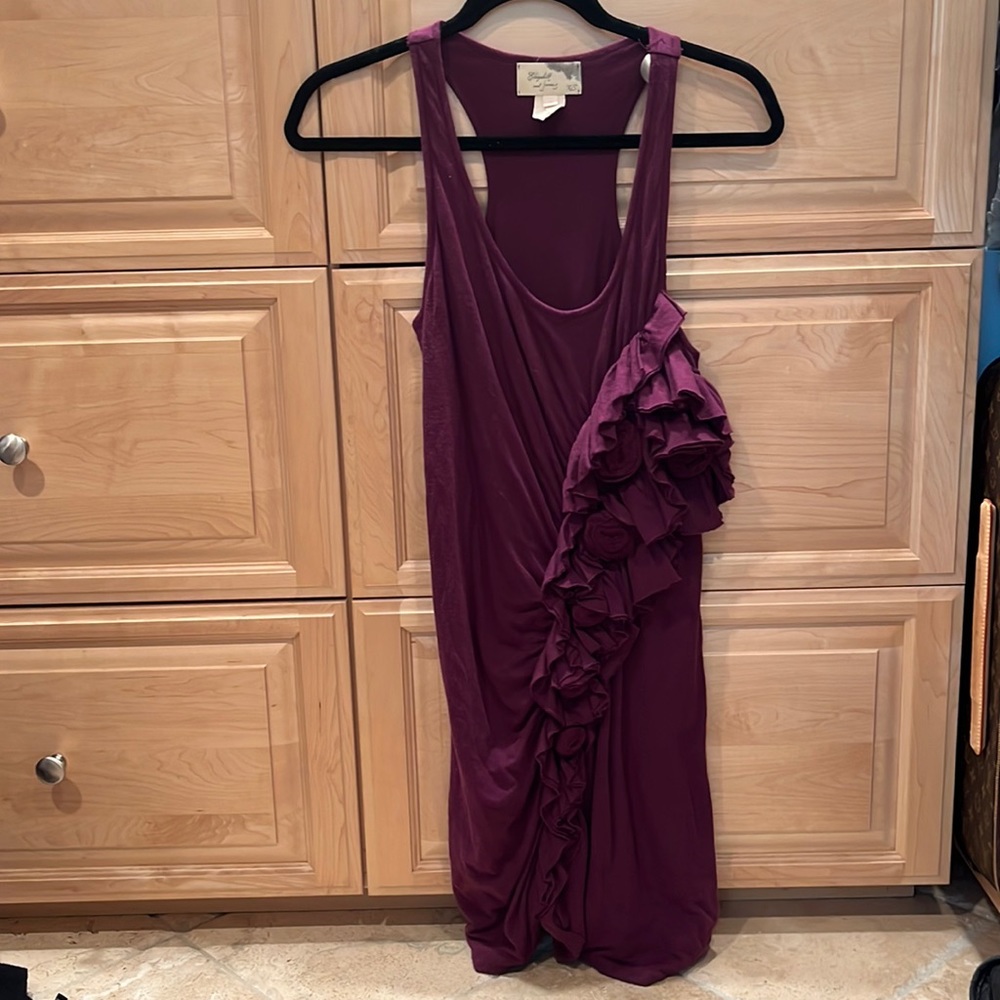 Elizabeth and James maroon cotton mini tank dress